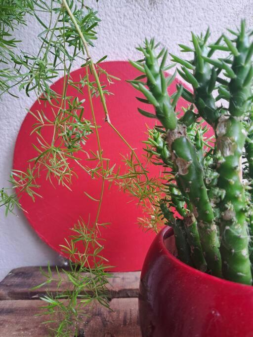 Appartement Cosy Avec Jardin Et Parking Женвил Екстериор снимка